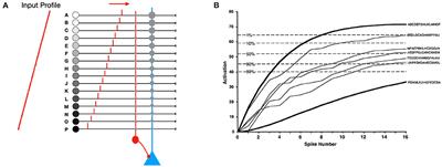 Analyzing time-to-first-spike coding schemes: A theoretical approach